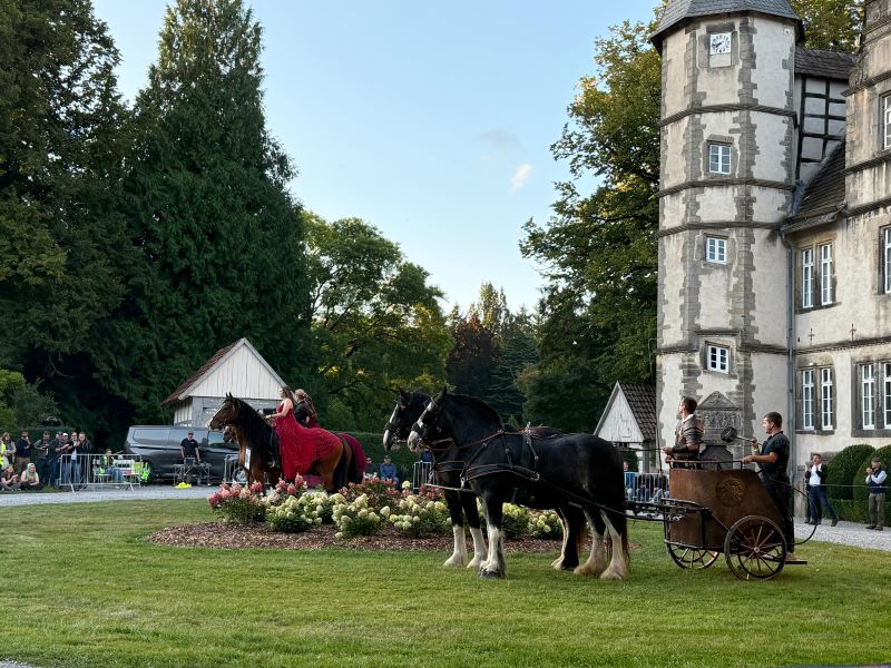 PferdeStark Abendshow